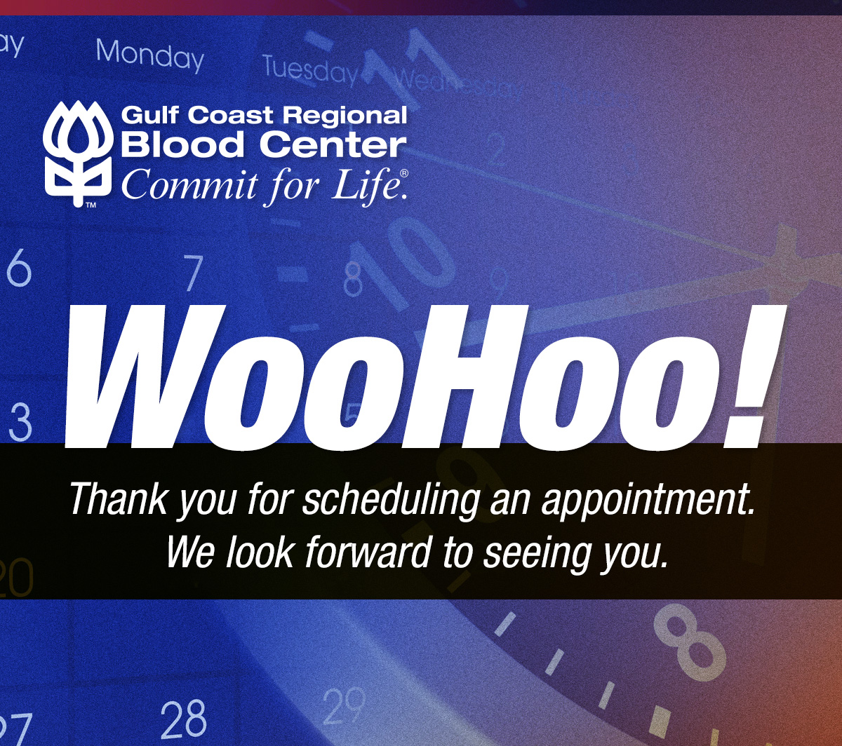 Thank you for scheduling an appointment. We look forward to seeing you.